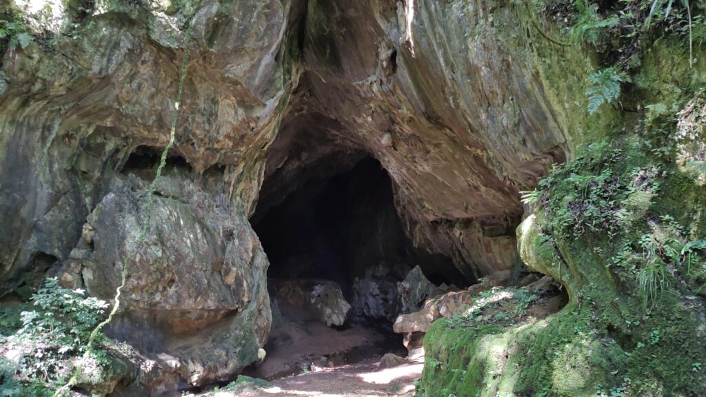 Gruta Dos Jesuitas E A 5A Maior Do Estado Com Extensao De Aproximadamente 550 Metros Parque Estadual De Campinhos, Em Tunas, Abre Os Portões Para A População