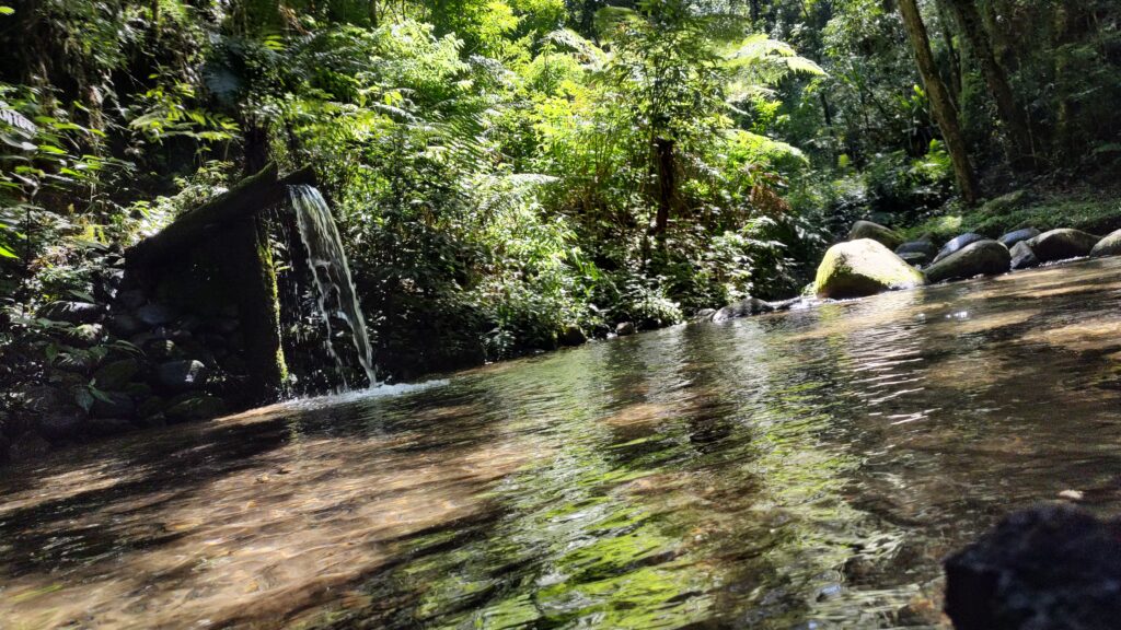 Lagoas E Bicas Dagua Espalhadas Em Diferentes Pontos Compoem A Paisagem Do Parque Parque Estadual De Campinhos, Em Tunas, Abre Os Portões Para A População