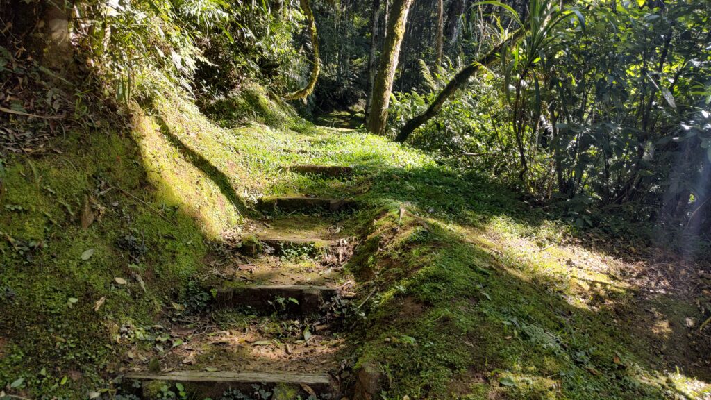 O Visitante Pode Percorrer Aproximadamente 900 Metros De Trilhas Pela Regiao Parque Estadual De Campinhos, Em Tunas, Abre Os Portões Para A População