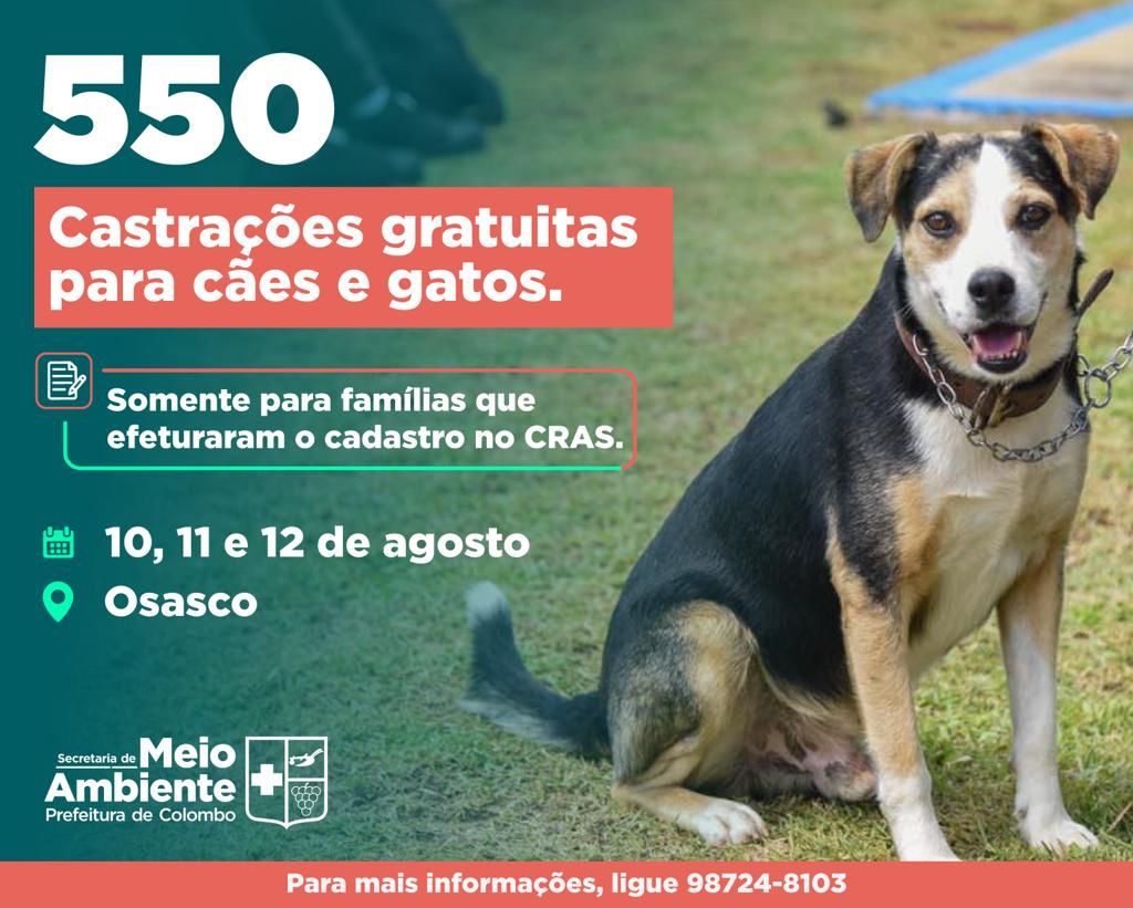 020823 Castração Gratuita Para Cães E Gatos Em Osasco Nos Dias 10, 11 E 12